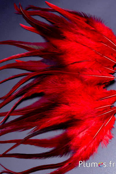 Coq - 15-18 cm - rouge café